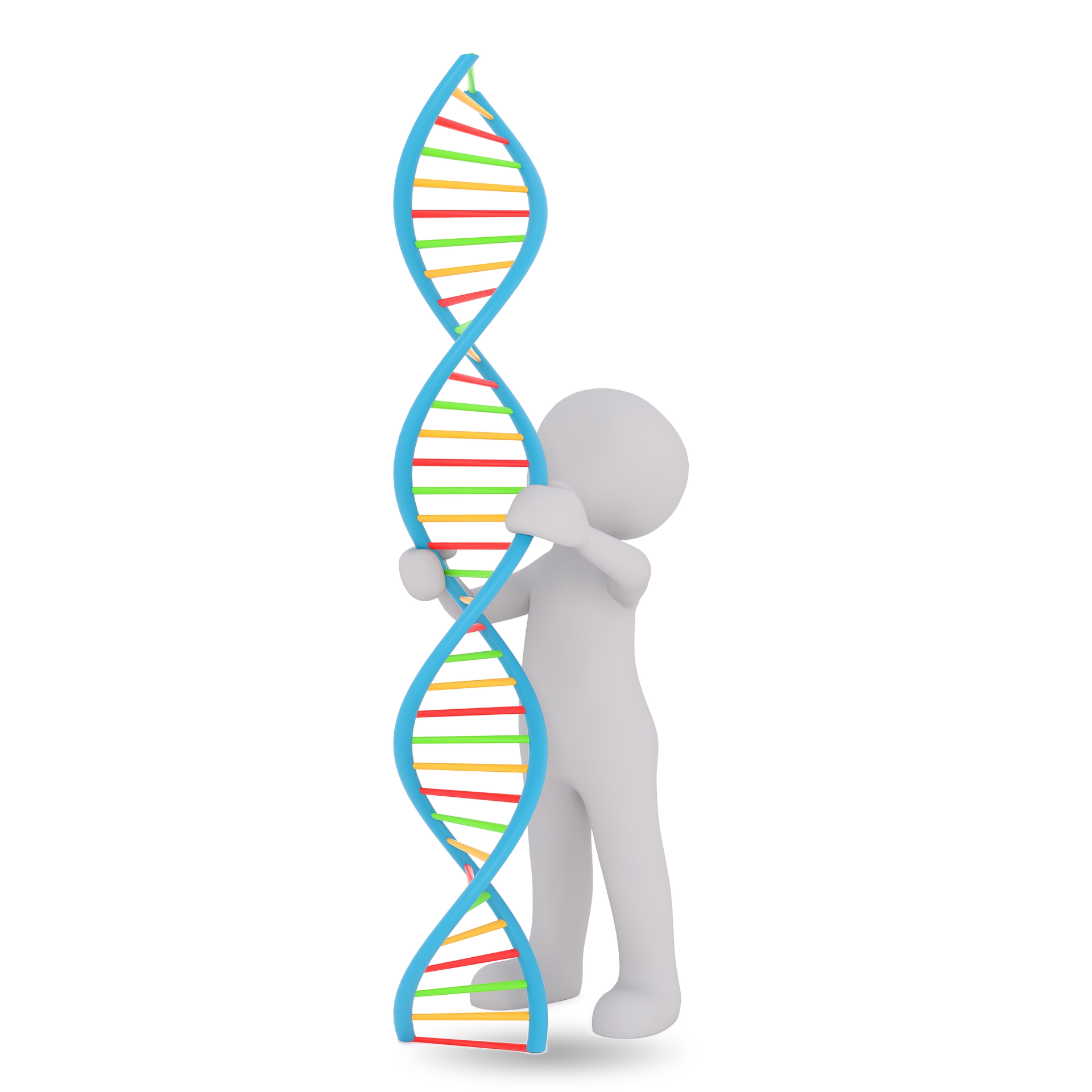3D Chromatin Architecture and Digital Sequence Resolution